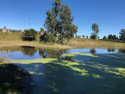 VENTA TERRENO MANGA CAMINO EL CORDERO 36980m2 A MTS. CAMINO PEDRO DE MENDOZA E INSTRUCCIONES