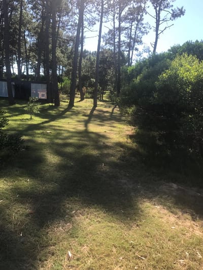 Vendo hermoso terreno en Chihuahua