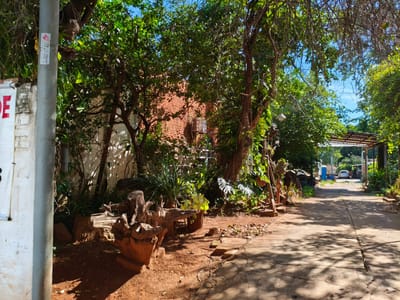 VENTA DE TERRENO AMURALLADO – BARRIO PALOMAR, LAMBARÉ