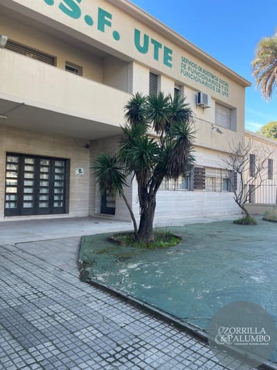 IMPORTANTE TERRENO DE 767 M² SOBRE AV. AGRACIADA – IDEAL DESARROLLO