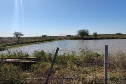ESTANCIA EN VENTA DE 1.500 Ha. - DPTO. VILLA HAYES