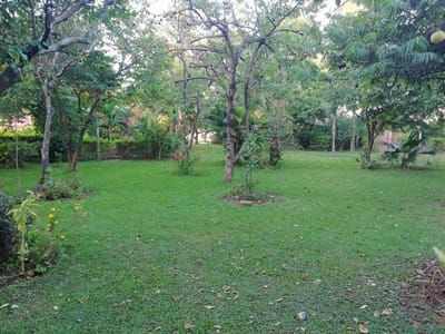 QUINTA EN PAILON 8 HECTAREAS EN VENTA