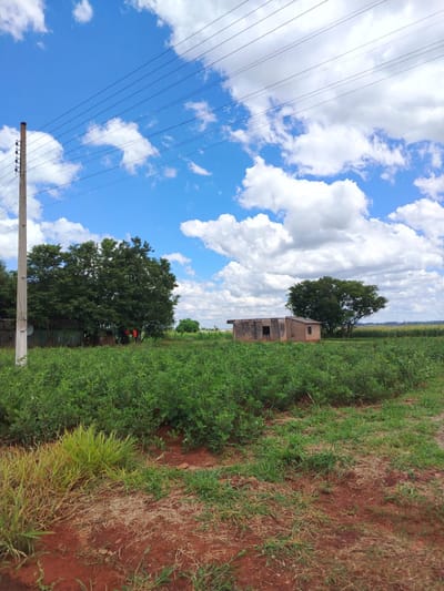 VENDO- TERRENO EN KM 24 MONDAY,ALTO PARANA