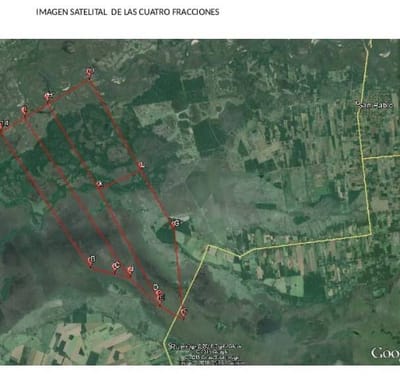CAMPO AGRICOLA, GANADERO Y FORESTAL EN VENTA | 4.091 HECTÁREAS | SAN PEDRO, PY