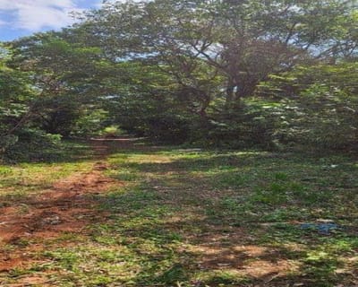 Hermosos terrenos en venta en Aregua