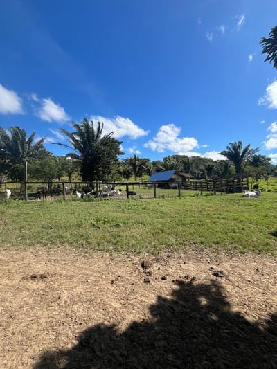 EN VENTA | PROPIEDAD GANADERA EN PORONGO