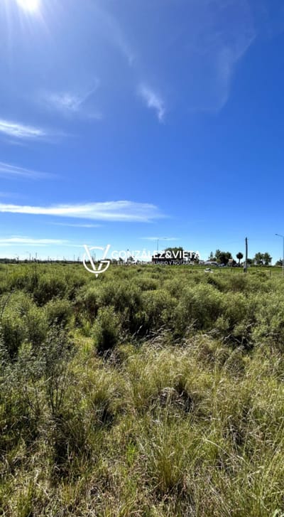 Terreno En Venta Estratégica Ubicación Ruta Perimetral 102 Y Avenida Mendoza