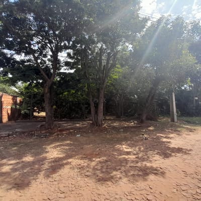 Vendo hermoso terreno en San Lorenzo