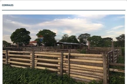 Estancia/Campo-Venta-PY Presidente Hayes General José María Bruguéz