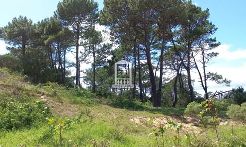 VENTA 1001 m2 EN RINCÓN DEL INDIO -PUNTA DEL ESTE