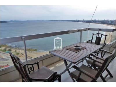 Piso alto, con toda la vista y parrillero propio, RECICLADO