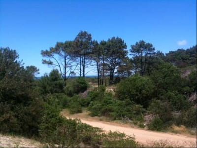 Gran Oportunidad: Terreno Amplio Cerca del Mar