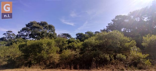 Terreno en Punta del Este (Punta Ballena) Ref. 5378