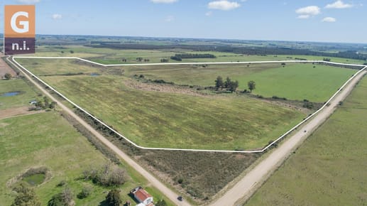 Campos y Fracciones en Zona Rural (Ruta 9. Gregorio Aznarez) Ref. 6695