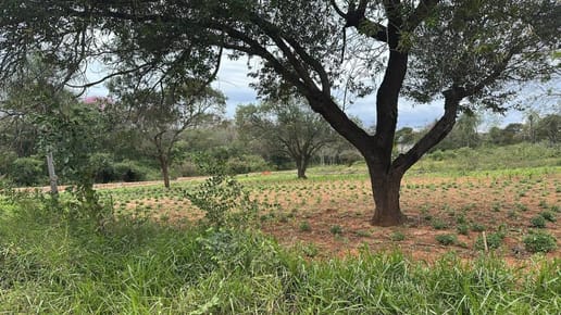 EN VENTA – TERRENO EN LUQUE, camino a Luque–Areguá