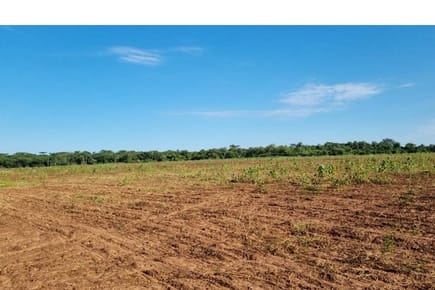 Imperdible Terreno para Invertir en Paraguay, San Pedro