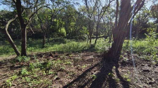 Vendo Terreno en Luque
