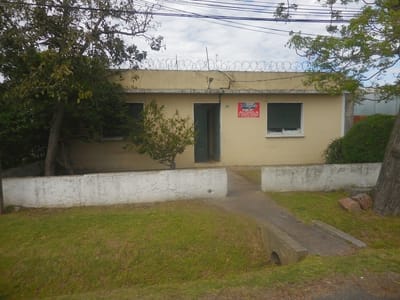 Apartamentos en Malvín Norte