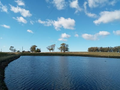 VENTA FRACCION RURAL 52 HECTAREAS EN RINCON DE JOSE IGNACIO