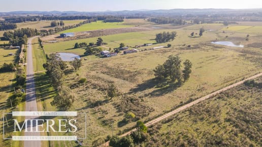 VENTA Chacra de casi 24 hectáreas al Sur de Ruta 9, La Barra