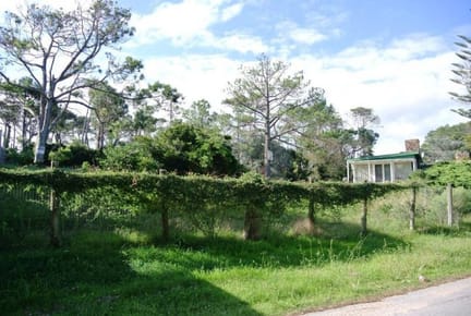 Venta lote a pasos del mar - Playa Mansa