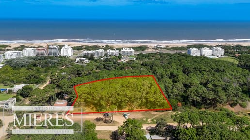 Venta Lote de 8000m2 para altura- Rincón del Indio