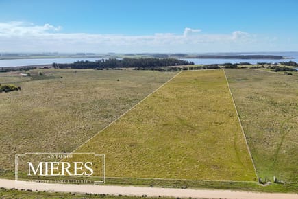 Quinta en venta en La Rinconada