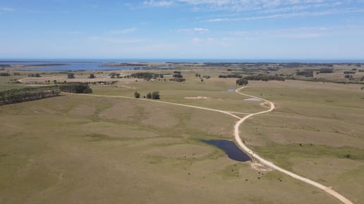 Campo en venta en José Ignacio