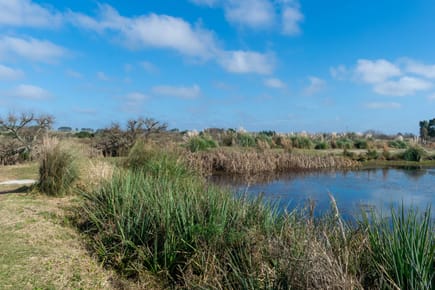 Venta chacra 37has c/casa ycosta de arroyo en Jose Ignacio