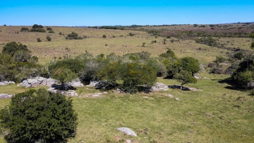 Fantastico Campo en las cercanias de Pueblo Garzon