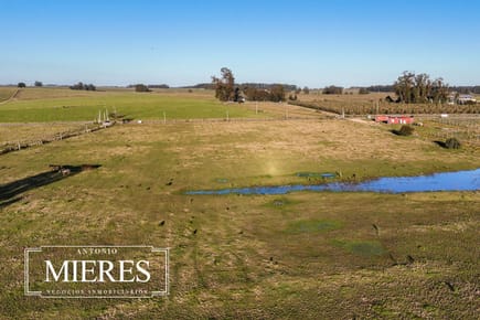 Quinta en venta en José Ignacio