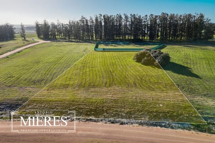 Venta lote 4000m2 en barrio privado premium a 5\' de Jose Ignacio