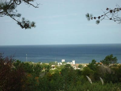 Venta lote con vista  -Punta Ballena
