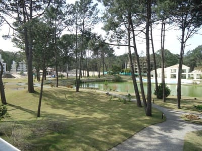 Venta apartamento 1 dormitorio - Punta Ballena