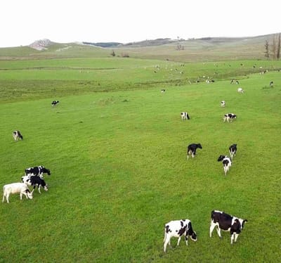 Campo en venta | Ruta 12 km 14 maldonado
