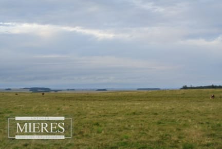 Campo en venta en Ruta 10