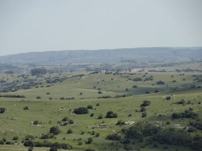 Campo en venta en La Coronilla