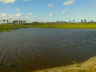 Campo en venta en Castillos