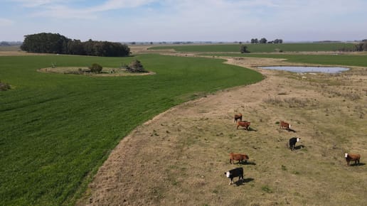 Campo en venta en Varela