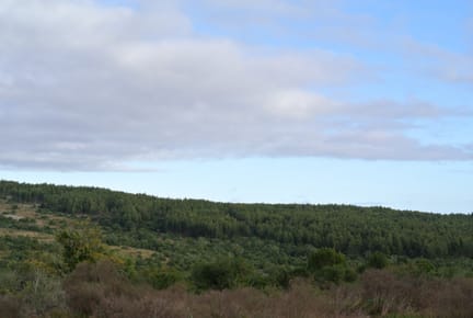 Campo en venta en Mariscala