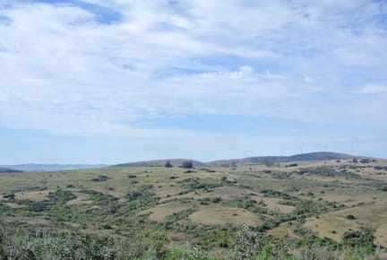 Campo en venta en Pueblo Edén