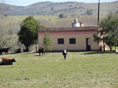 Quinta en venta en Aiguá