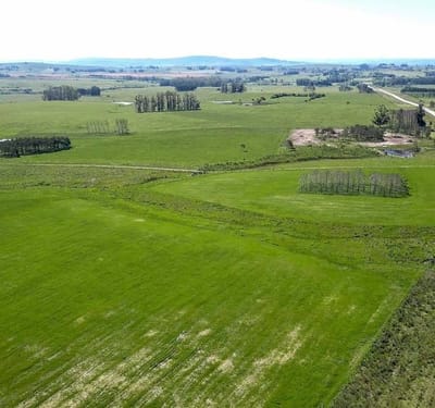 | Campo en venta| Ruta 12 km 14