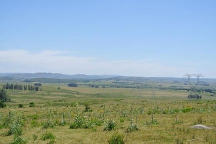 114.70 hectÃ¡reas | Campo | Ruta 39 km 36