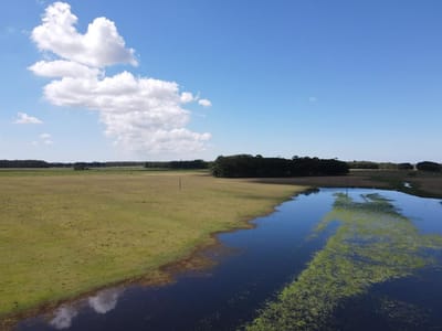 VENTA DE CAMPO AGRÍCOLA GANADERO EN VENTA ROCHA