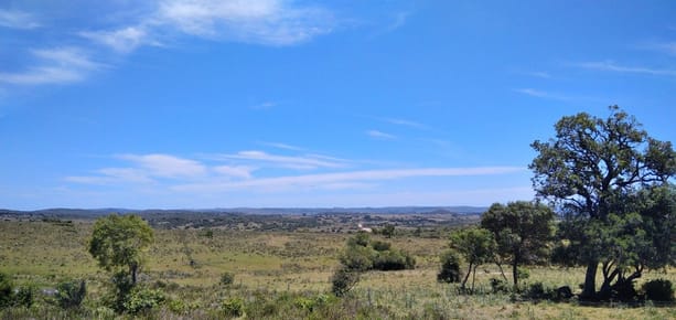 Campo ganadero, criador, Aigua