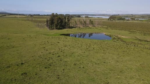 Quinta en venta en LAGUNA DEL SAUCE