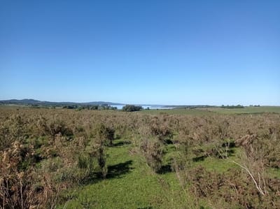 Quinta en venta en LAGUNA DEL SAUCE