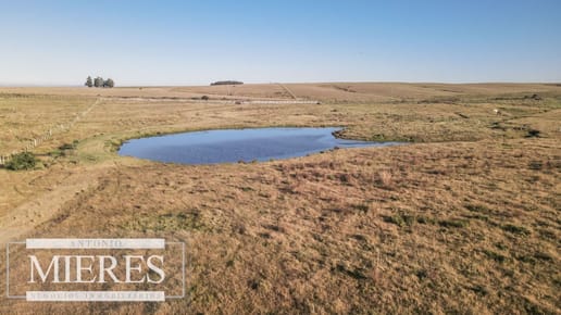 Chacra en venta de 6 ha Garzón con hermoso espejo de Agua