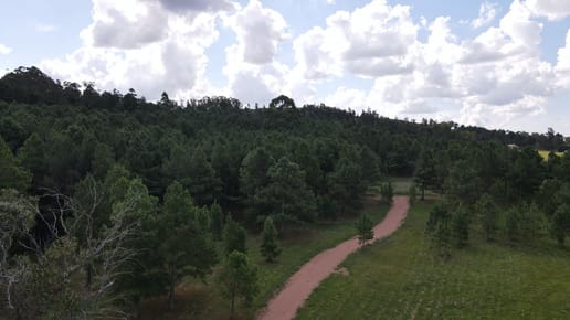 Chacra de 4,8 ha Lapataia, Maldonado Uruguay.
